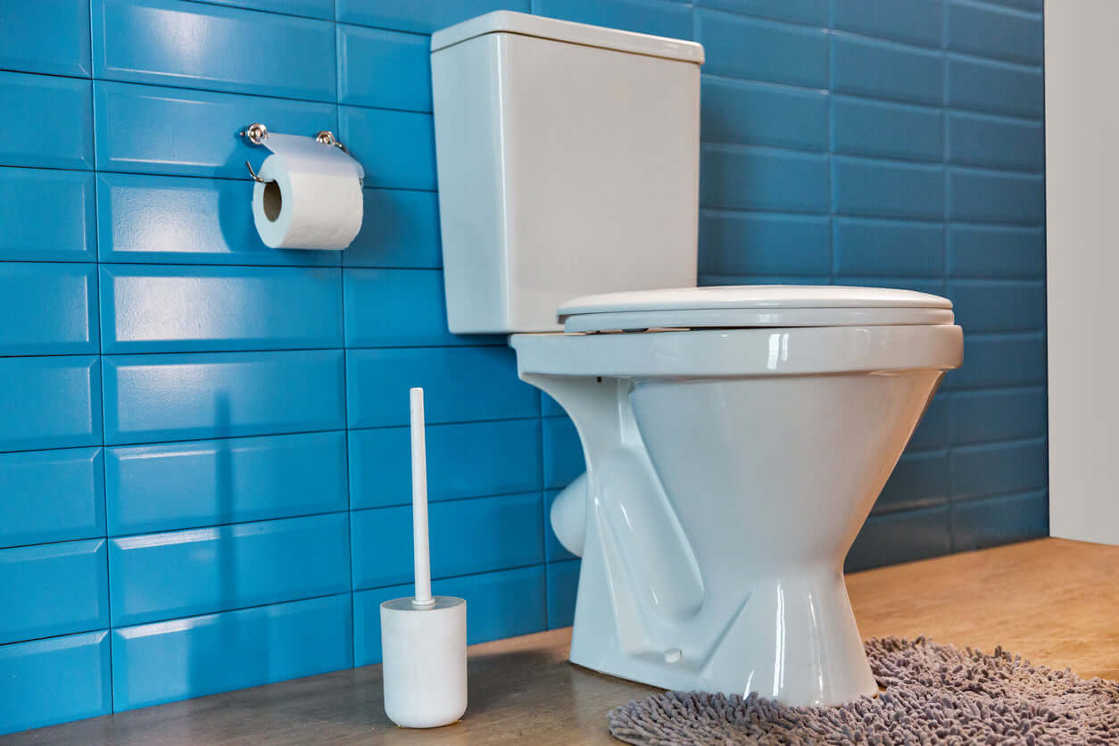 The Porcelain Throne and Toilet Seat Germs